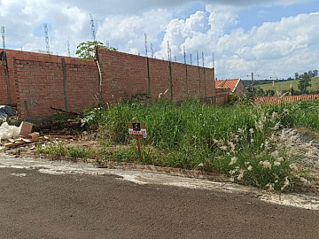 Terreno - Venda - Monte Claro - Ribeirão Claro - PR